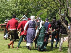 IMG_7066.JPG