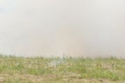 IMG_9140.JPG