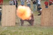 IMG_9113.JPG